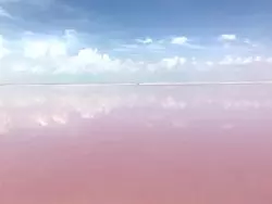 【メキシコ】目を見張る絶景♪メキシコのピンクラグーンへ！