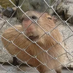 SNSで話題の「桂浜水族館」って？謎に包まれた魅力をひっそり紹介