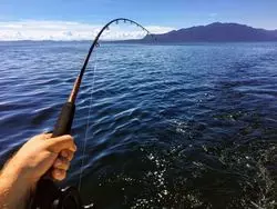 大阪で釣りをするならここ！おすすめの釣りスポットを紹介
