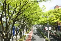 表参道でカフェランチをするならここ！おすすめ6選♪