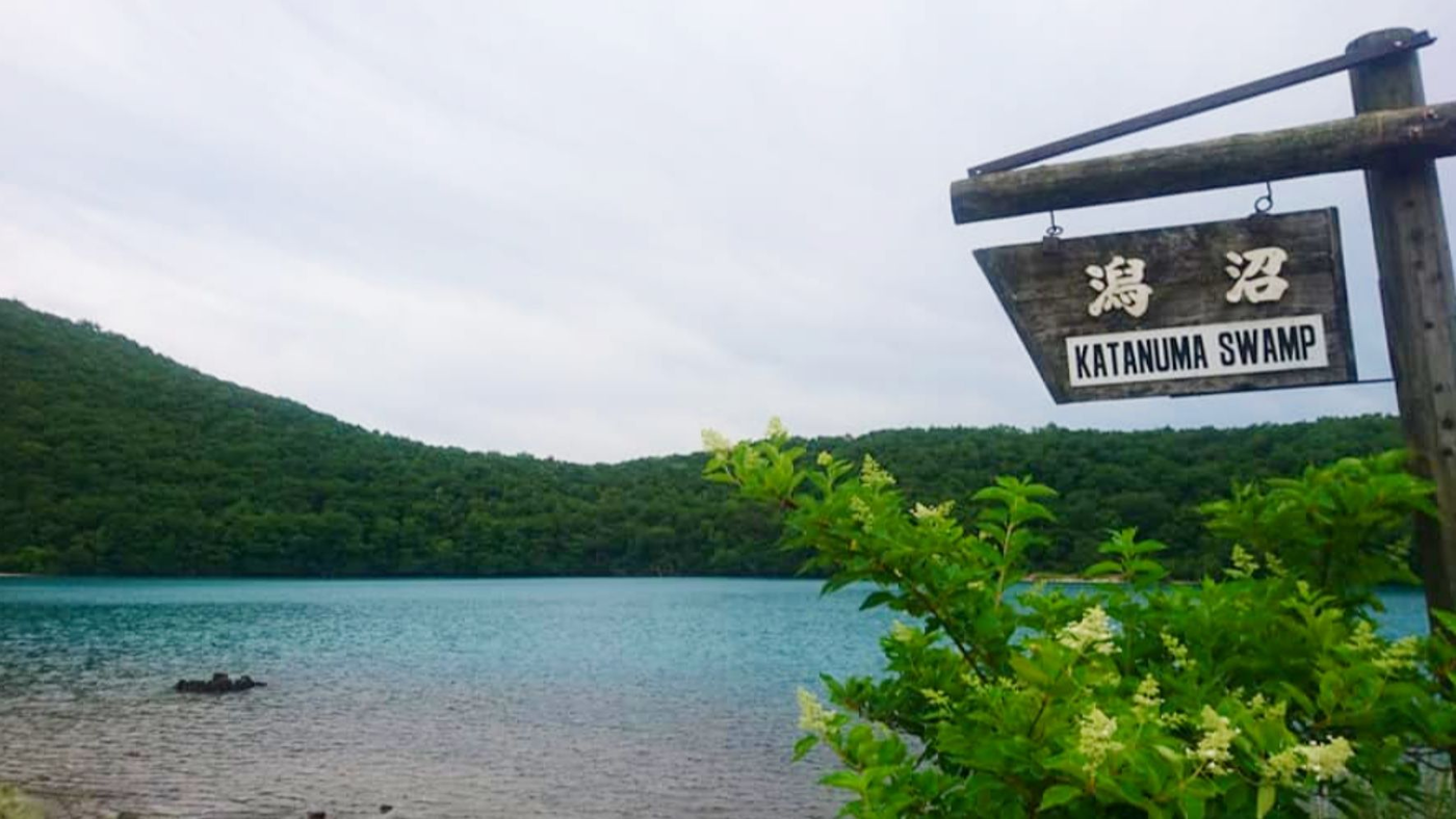 の画像
