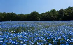 【天気別】埼玉の魅力を再発見！おすすめデートコースを大公開♡