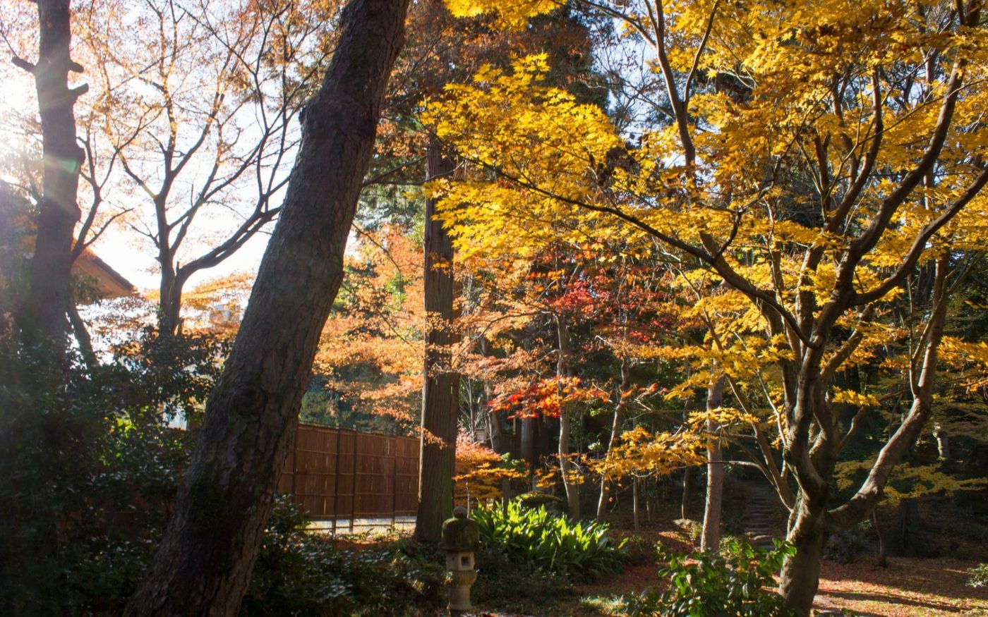 【2025年】金沢に行くなら紅葉シーズンがおすすめ！絶景5選の画像