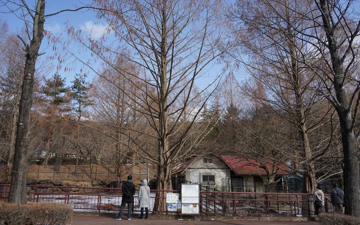 盛岡市動物公園ってどんな動物園？意外と知らないおすすめポイントの画像