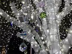 【栃木】花と光の融合☆あしかがフラワーパークのイルミネーション♪