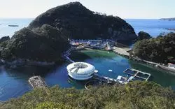 海を使った下田海中水族館！そこはたくさんの魅力が詰まった水族館。