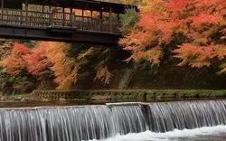 熊本・阿蘇周辺の絶景紅葉スポット5選！観光できる周辺情報も紹介