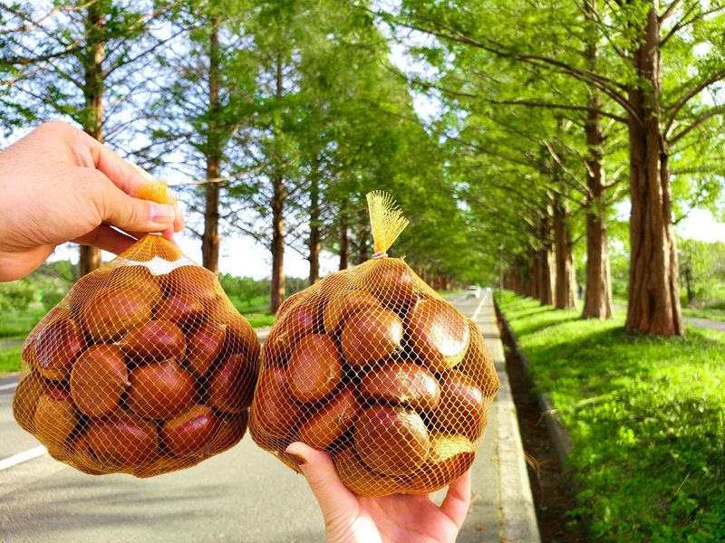 large_3328f1f7-e44e-4d12-a7e3-