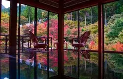 絶景！テーブルも写真映えに変えちゃう佐賀の紅葉♪