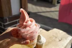 【鬼怒川】甘酸っぱ旨♡苺ソフトと有名バームクーヘンの魅惑スイーツ
