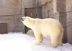 徳島で楽しんで癒される！『とくしま動物園』を1日中楽しむプラン♪