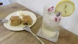 蔵前のおしゃれ観光スポット！今話題のカフェから雑貨屋まで6選◎