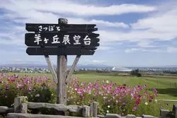 【北海道】人気観光地ランキング5選！魅力的なスポットの宝庫♪