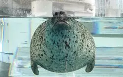 【京都水族館】で癒される♡水族館のアイドルたちに会いに行こう◎