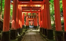 京都・伏見周辺の観光スポット9選！神社にグルメに酒造見学まで