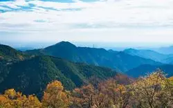 【御岳山×紅葉9選】2020年最新！見頃・混雑情報など大網羅！