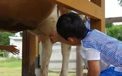【岐阜】子どもとのおでかけはここ！ふれあいメインの動物園6選♪