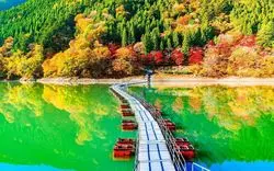 【奥多摩】2021年紅葉情報！見頃や楽しみ方などポイントまとめ