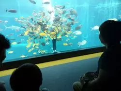 子連れ旅行におススメ！箱根で水族館や遊覧船を楽しもう♪