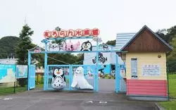 道南の癒しの場！「市立室蘭水族館」で楽しい思い出を作ろう