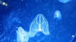 【名古屋】水族館に行くならここ☆名古屋港水族館！！