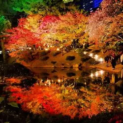 【広島】四季を彩る色鮮やかな自然♪街中の庭園「縮景園」の魅力