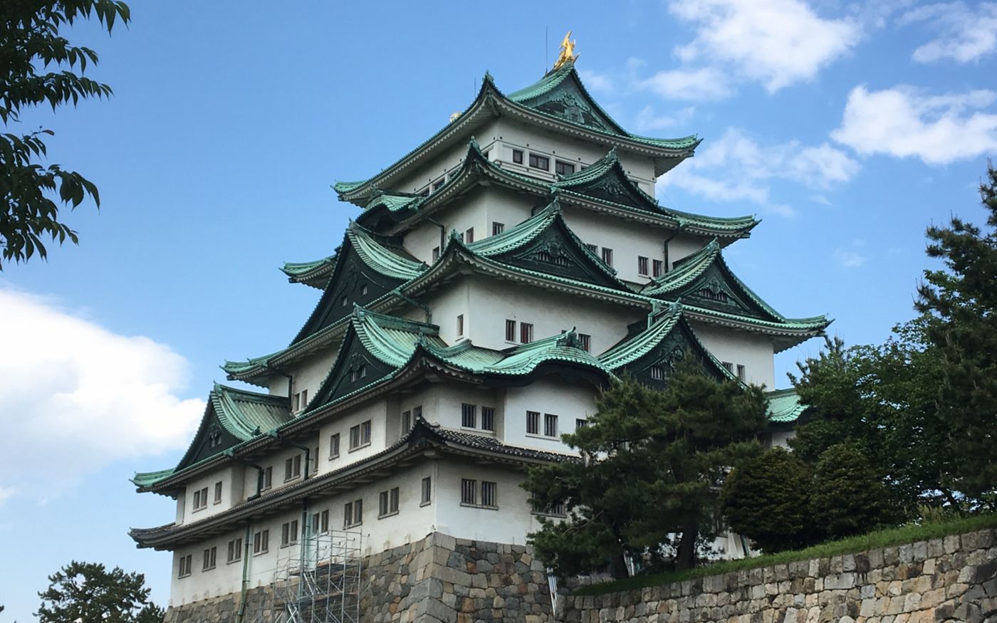 の画像