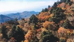 【長崎】紅葉の季節にオススメ！心とお腹を満たす雲仙・島原の旅