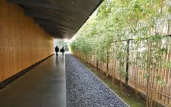 【青山】おすすめの美術館を紹介！青山アートを楽しもう♪
