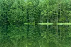 【1分で巡る絶景】自然の美を映し出す水鏡。何度でも訪れたい「御射鹿池」
