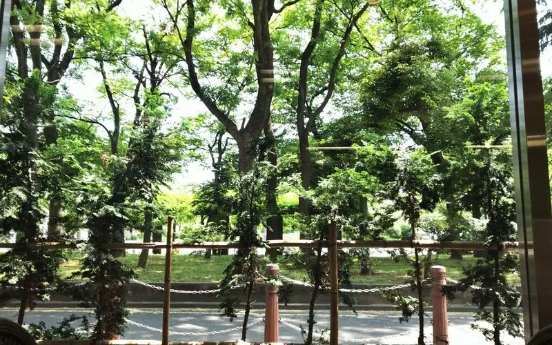 緑を眺めてリラックス♪ 1枚目