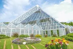 大阪に家族でゆる～くおでかけ♪四季折々の植物に癒される場所
