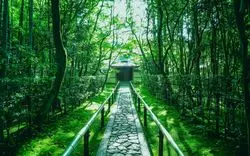 【京都】大徳寺の特別拝観は魅力たっぷり！千利休の歴史を感じる