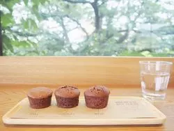 【神奈川】女子旅におすすめ！鎌倉でやりたいこと