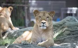 豊橋の動物園「豊橋動植物園」の魅力を徹底解剖！イベント情報も掲載