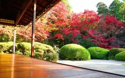 京都ひとり女子旅にいかが♪詩仙堂のはんなりとした庭園