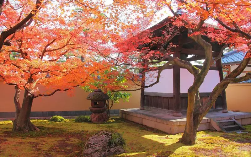 京都大徳寺の見どころ4. 特別拝観でしか見られない!千利休ゆかりの地「黄梅院」 1枚目