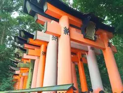 中心地から少し離れて！京都で寺院めぐり♪