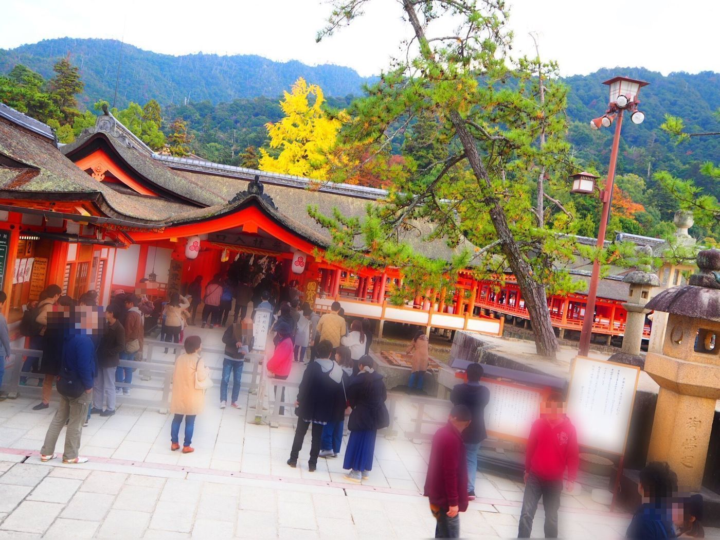 ゆったり観光♪日本三景宮島・厳島で紅葉狩り！の画像