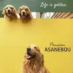【癒しステイ】群馬の「ペンション朝ねぼう」で看板犬と戯れよう！