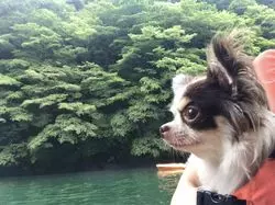 【栃木】愛犬と一緒に♪那須で過ごす休日プラン