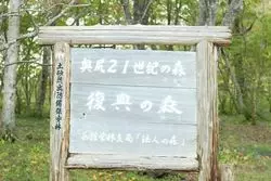 北海道の自然を満喫♡奥尻島「復興の森」へ行ってみよう！