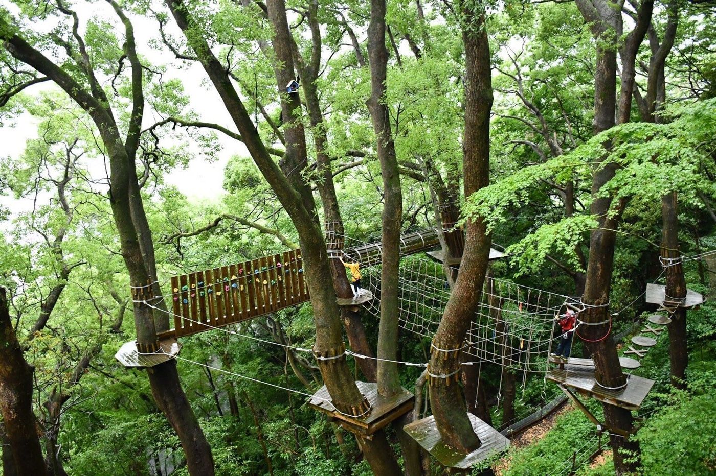 の画像