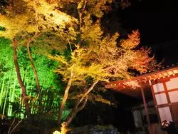 【京都】大人デートにオススメ♡紅葉ライトアップ＆映えスポット！