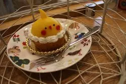 癒しのカフェ♡大阪でかわいい小鳥に癒されませんか？