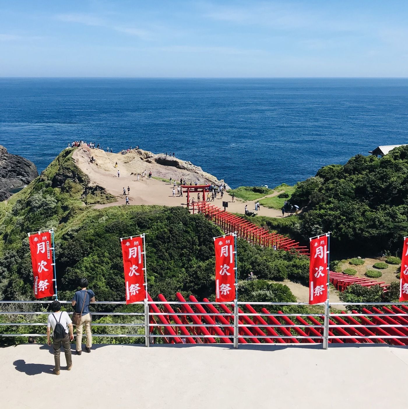 の画像