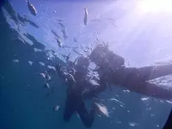 沖縄旅行🌺海を満喫🐠2日目