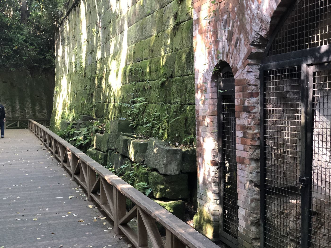 の画像