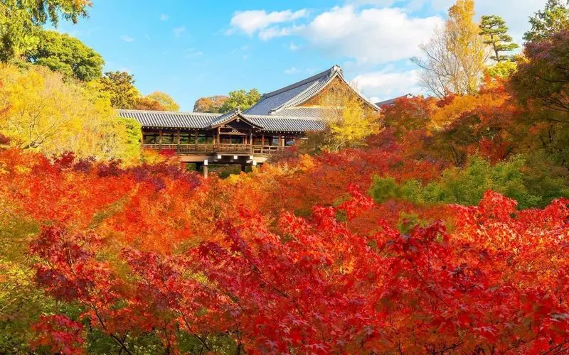 22. 『東福寺』京都観光の紅葉はここで満喫!自然が織りなす景色を堪能 1枚目