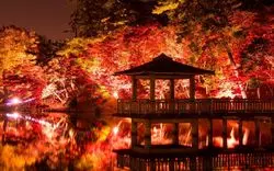 【愛知県】岡崎市周辺の紅葉スポットを紹介！ライトアップもある！